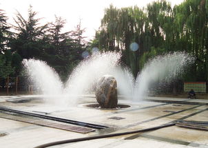 波光噴泉價(jià)格 濰坊可信賴(lài)的波光噴泉