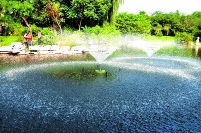 噴泉式曝氣機 環(huán)保與美觀的完美結(jié)合